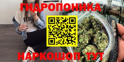 прущий лед Ачхой-Мартан