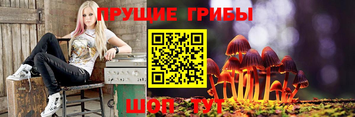 Псилоцибиновые грибы Magic Shrooms Белово