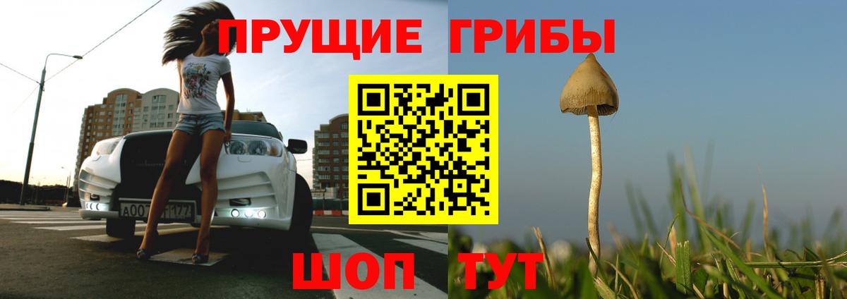 Псилоцибиновые грибы Cubensis  Вход с VPN  Белово 